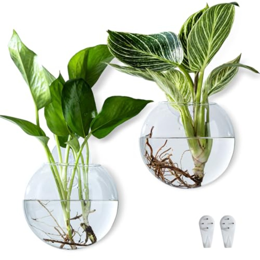 Propagation Station Vase - Wall Hanging Planter Propagation Station, Oblate