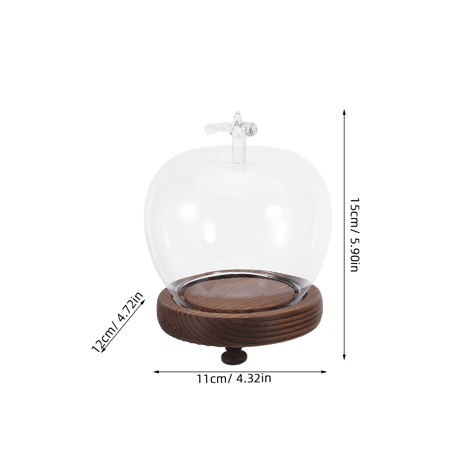Decorative Glass Dome with Sol - Plastic Dome Clear のレビューと価格