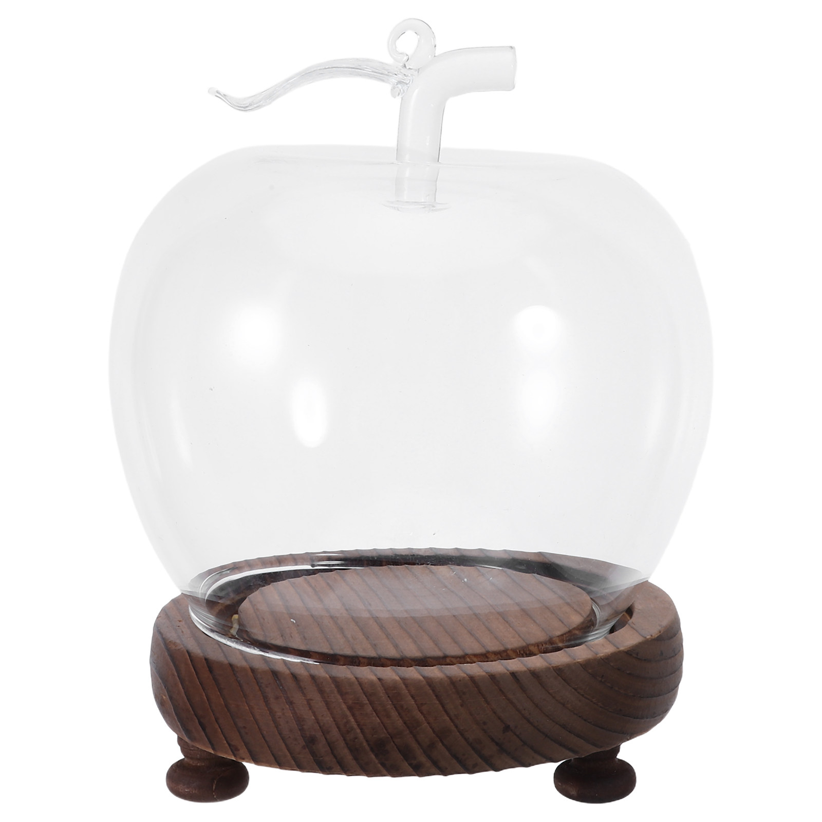Decorative Glass Dome with Sol - Plastic Dome Clear のレビューと価格