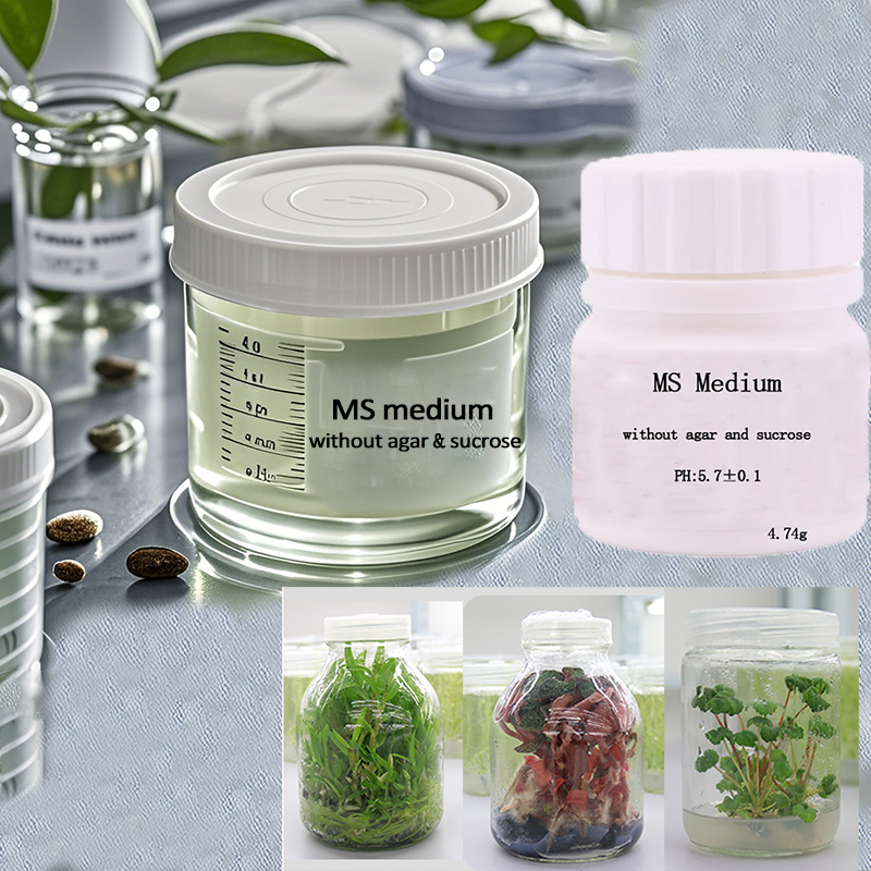 MS medium Without Agar Or Sucr - Agar Tissue Culture のレビューと価格