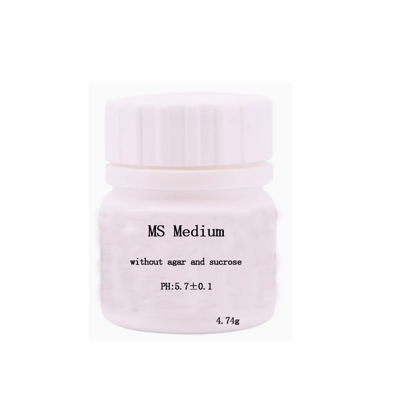 MS medium Without Agar Or Sucr - Agar Tissue Culture のレビューと価格