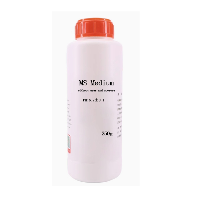 MS medium Without Agar Or Sucr - Agar Tissue Culture のレビューと価格