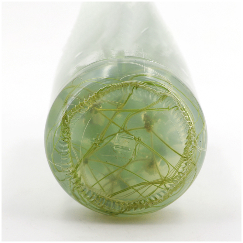 MS medium Without Agar Or Sucr - Agar Tissue Culture のレビューと価格