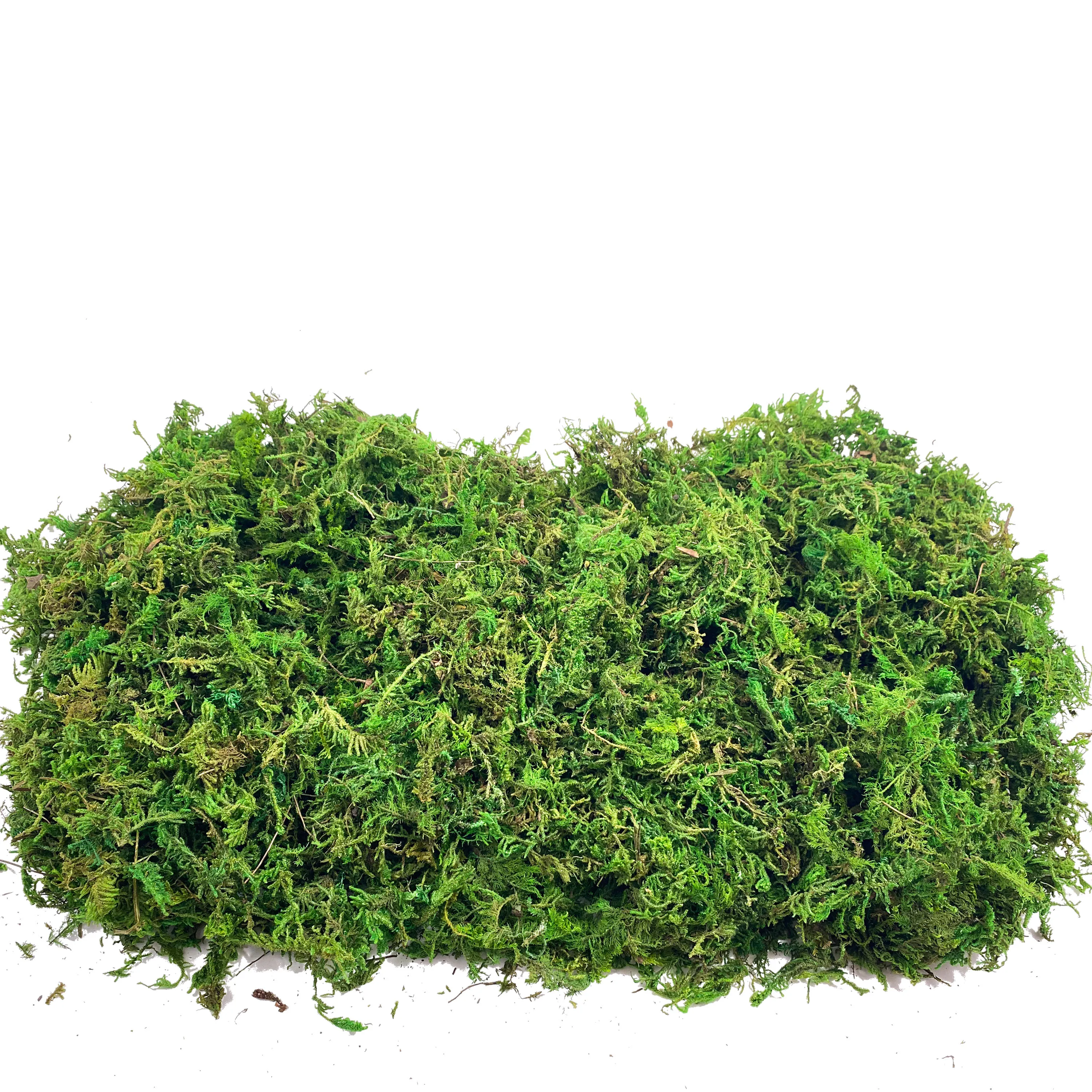Fake Moss Artificial Moss for  - Sphagnum Moss Dry のレビューと価格