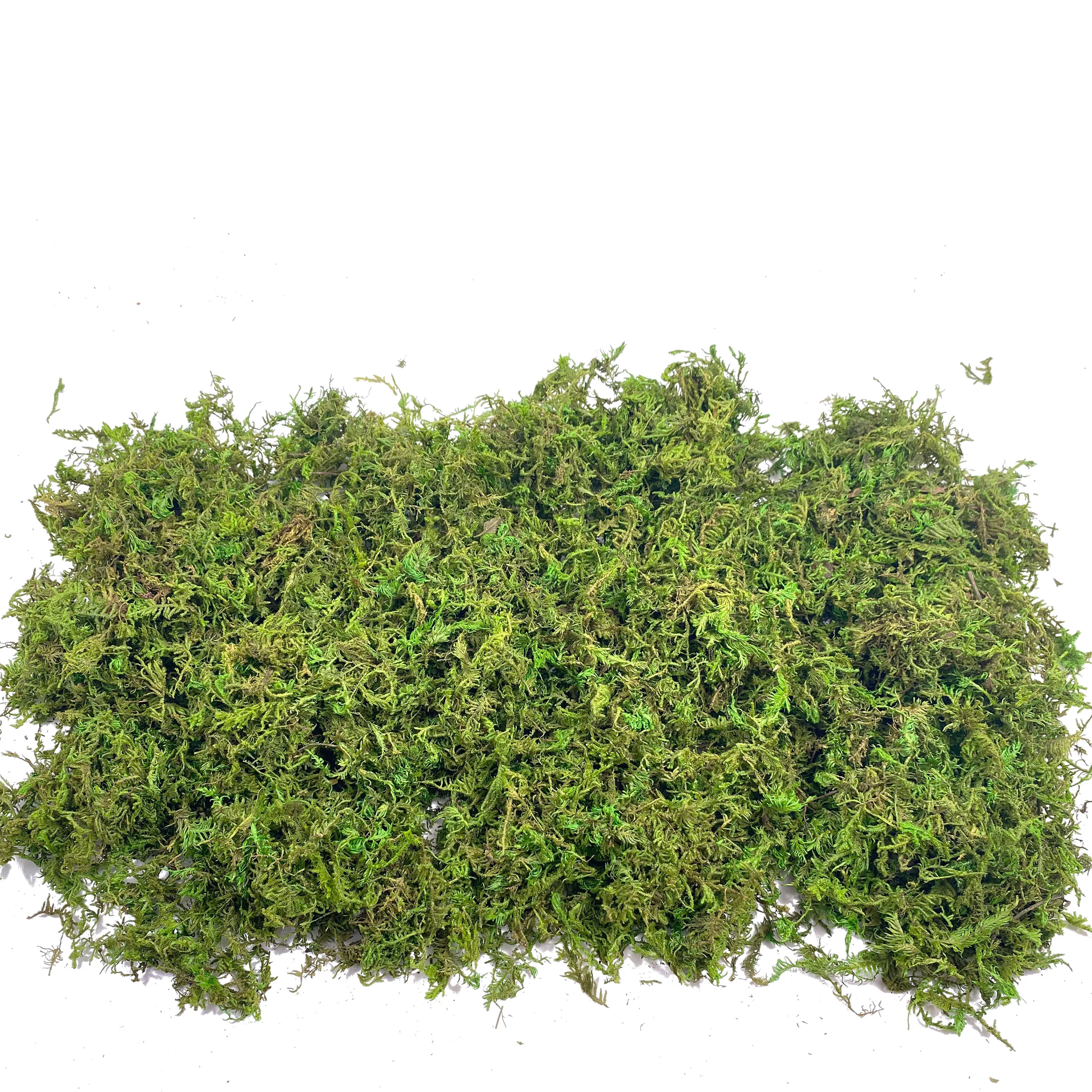 Fake Moss Artificial Moss for  - Sphagnum Moss Dry のレビューと価格