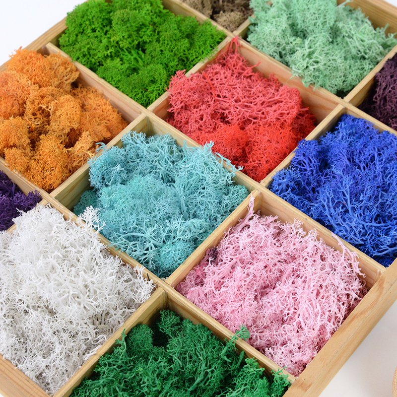 20/40g Artificial Green Plants - Sphagnum Moss Dry のレビューと価格
