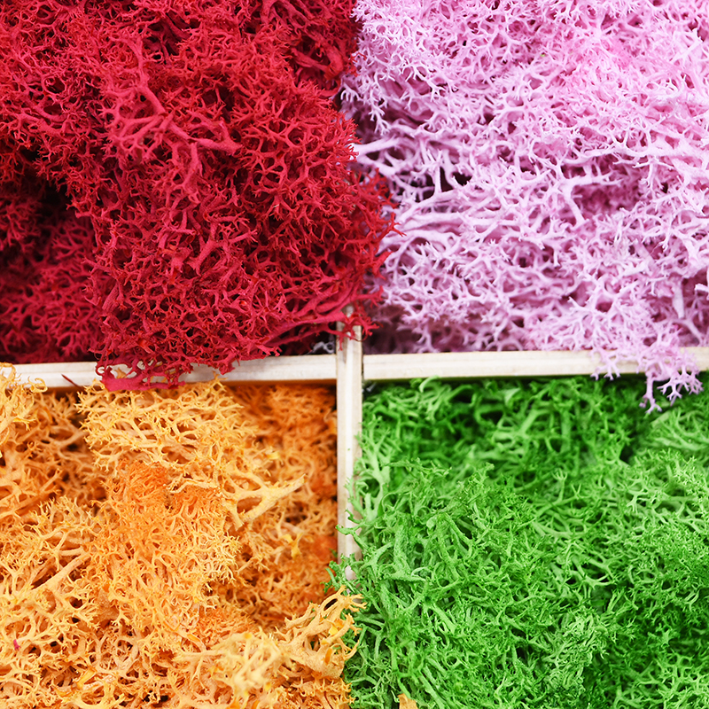 20/40g Artificial Green Plants - Sphagnum Moss Dry のレビューと価格