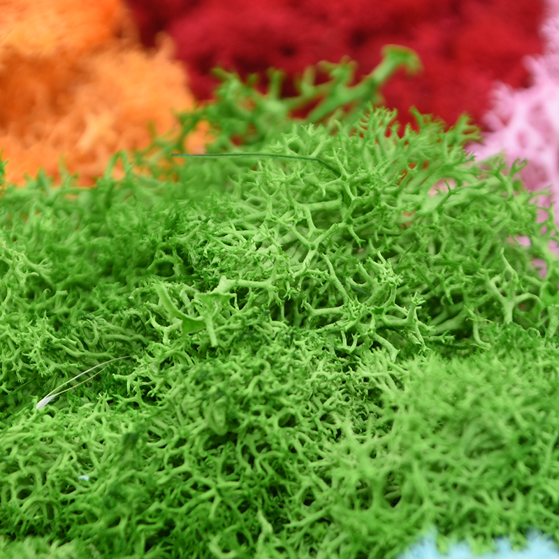20/40g Artificial Green Plants - Sphagnum Moss Dry のレビューと価格