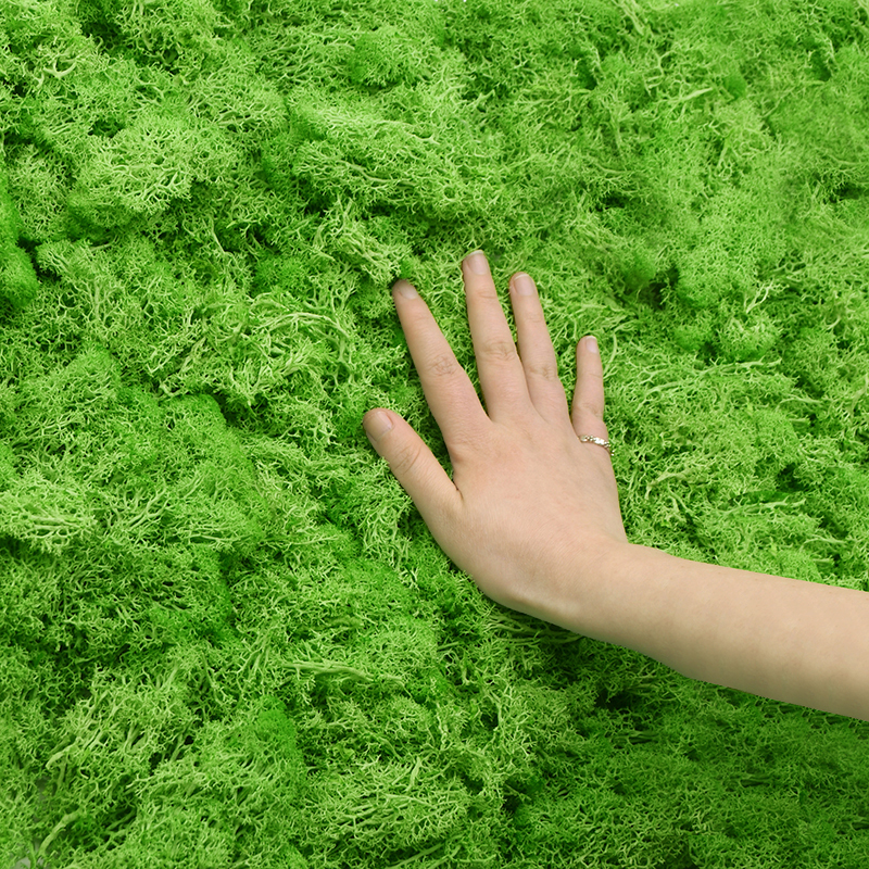 20/40g Artificial Green Plants - Sphagnum Moss Dry のレビューと価格