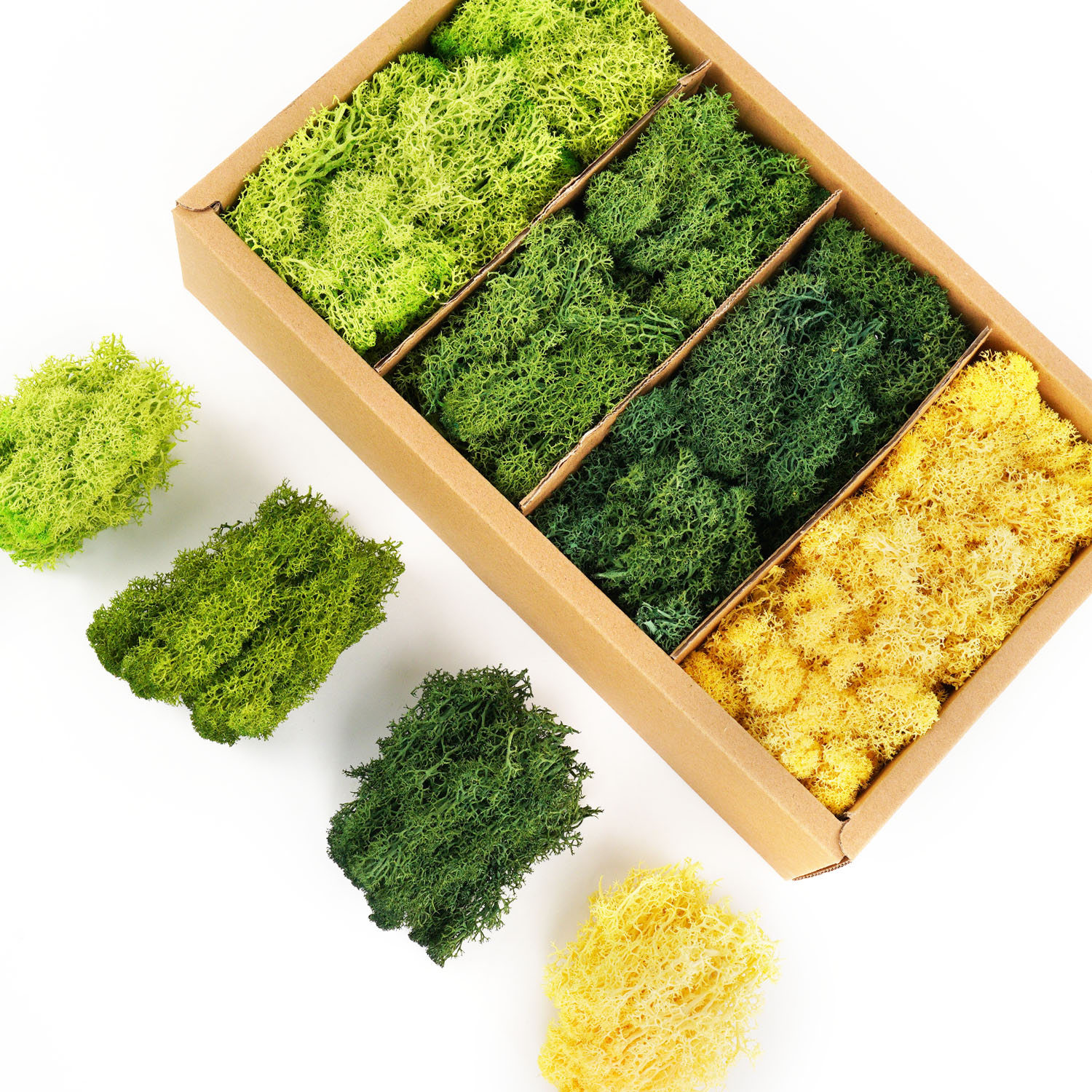 Artificial Green Plants Eterna - Sphagnum Moss Dry のレビューと価格