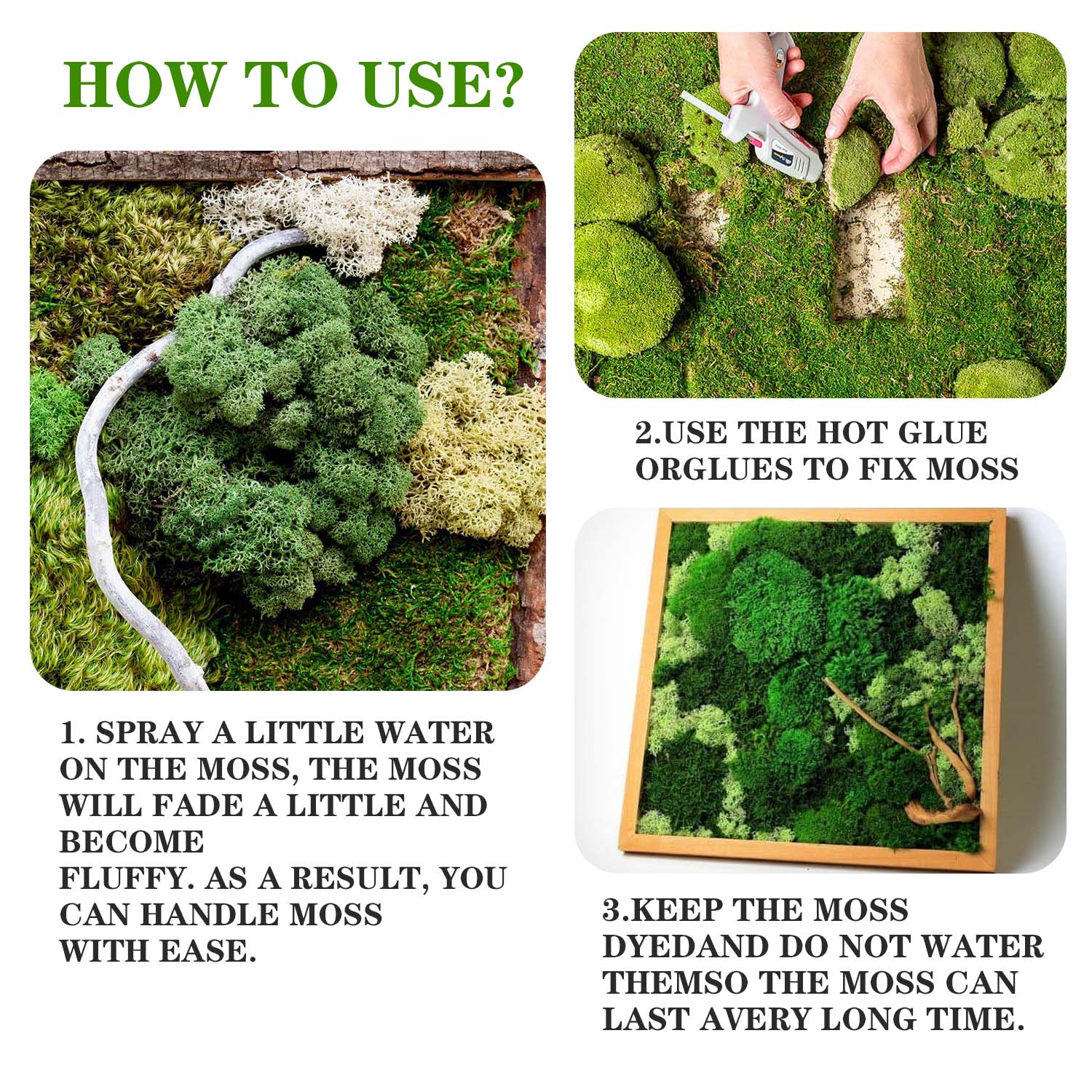 Artificial Green Plants Eterna - Sphagnum Moss Dry のレビューと価格