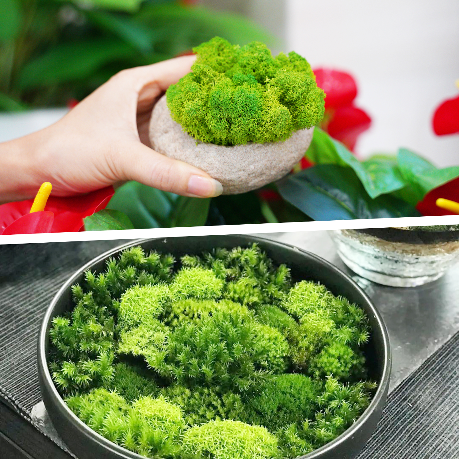Artificial Green Plants Eterna - Sphagnum Moss Dry のレビューと価格