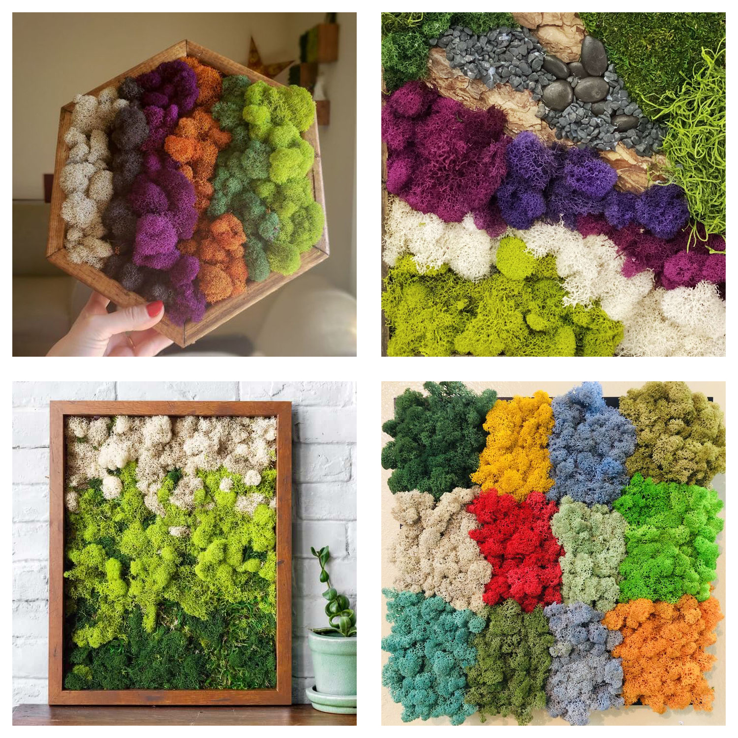 Artificial Green Plants Eterna - Sphagnum Moss Dry のレビューと価格