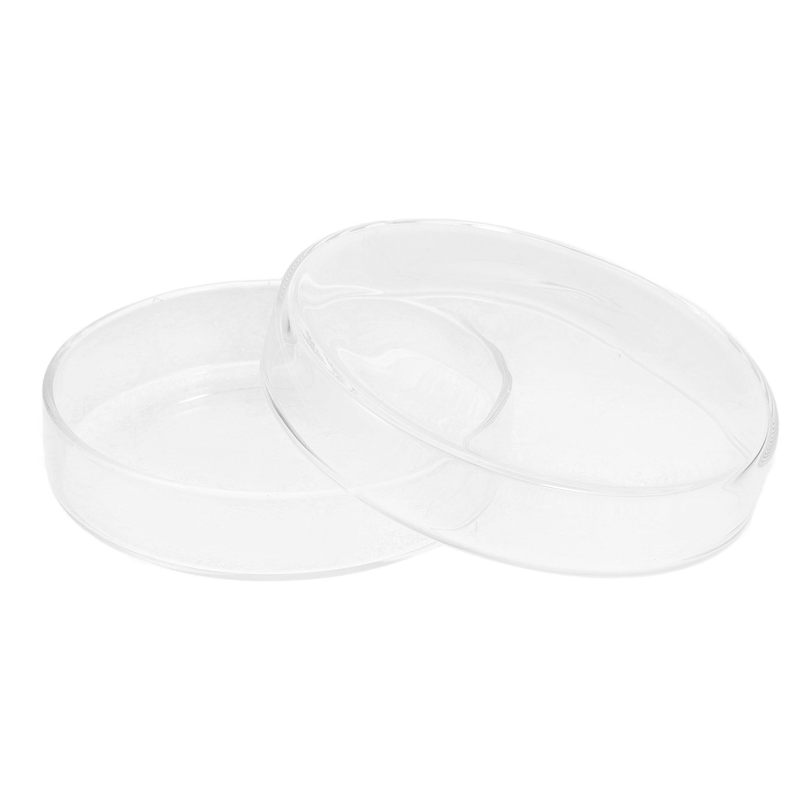 Glass Petri Dish High Borosili - Agar Tissue Culture のレビューと価格