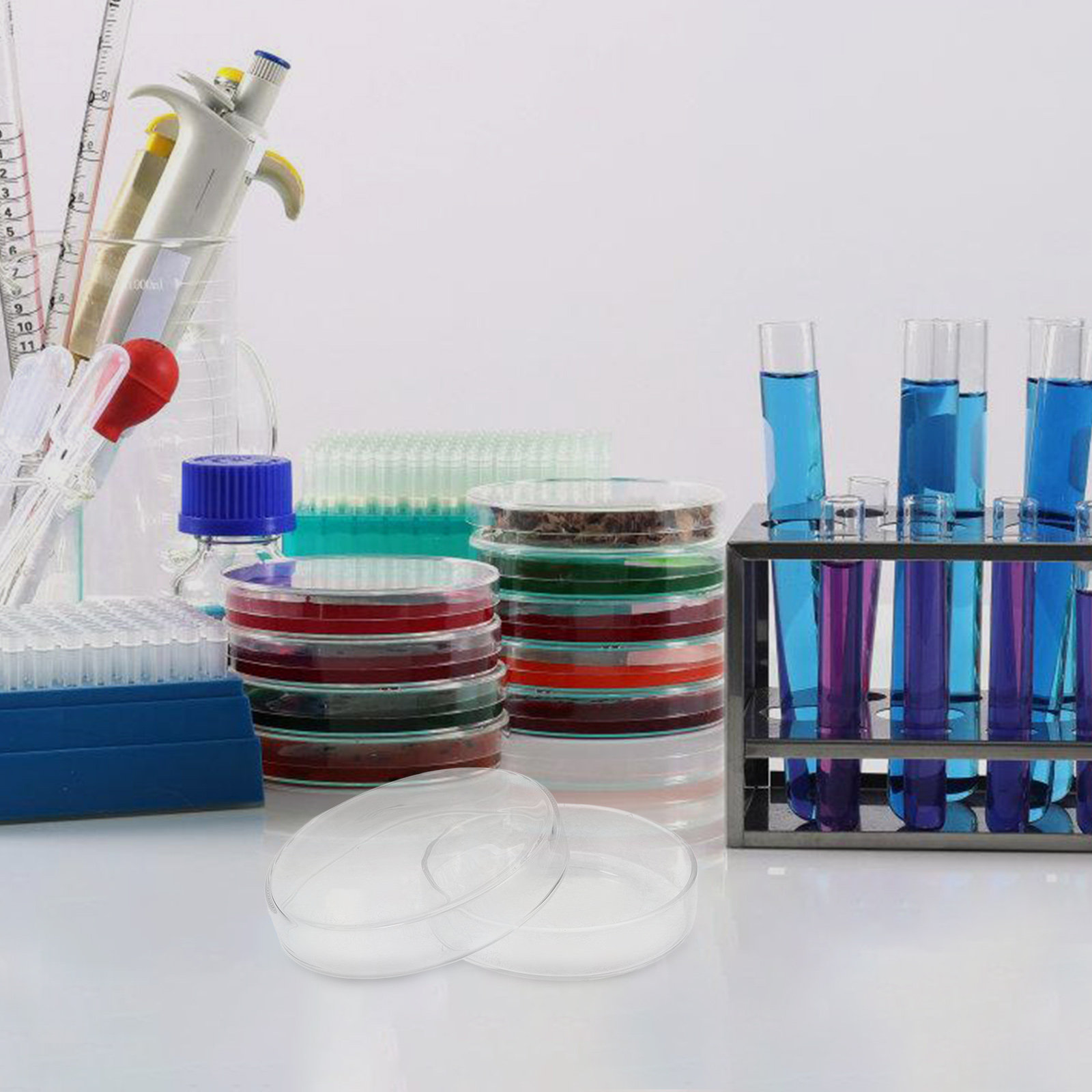 Glass Petri Dish High Borosili - Agar Tissue Culture のレビューと価格
