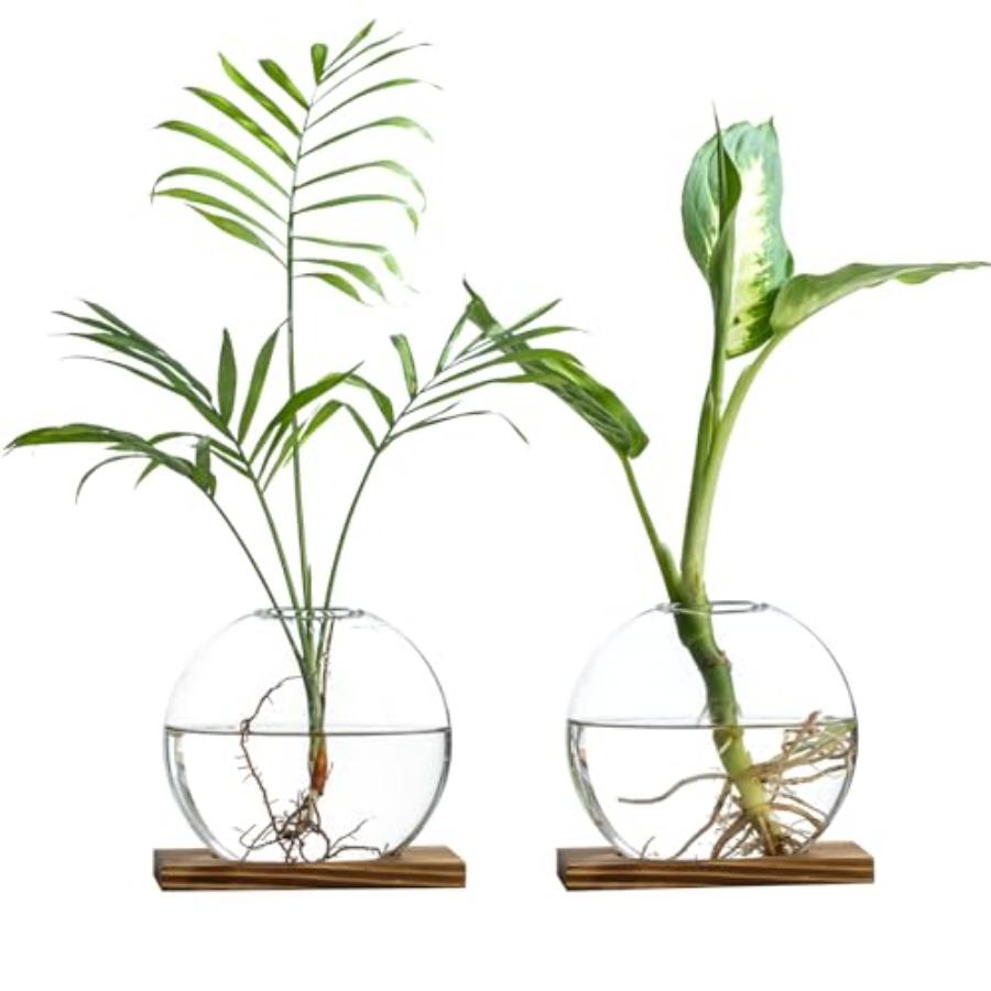 Glass Planter Propagation Stat - Propagation Station Vase のレビューと価格