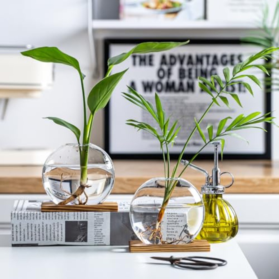 Glass Planter Propagation Stat - Propagation Station Vase のレビューと価格