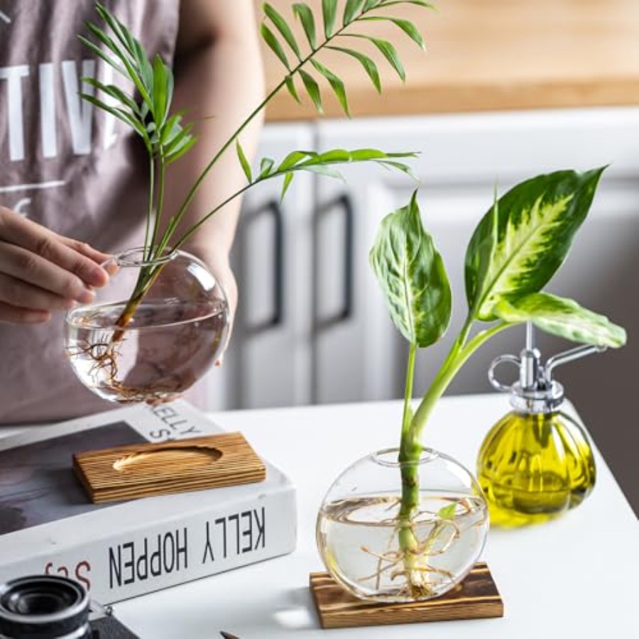 Glass Planter Propagation Stat - Propagation Station Vase のレビューと価格