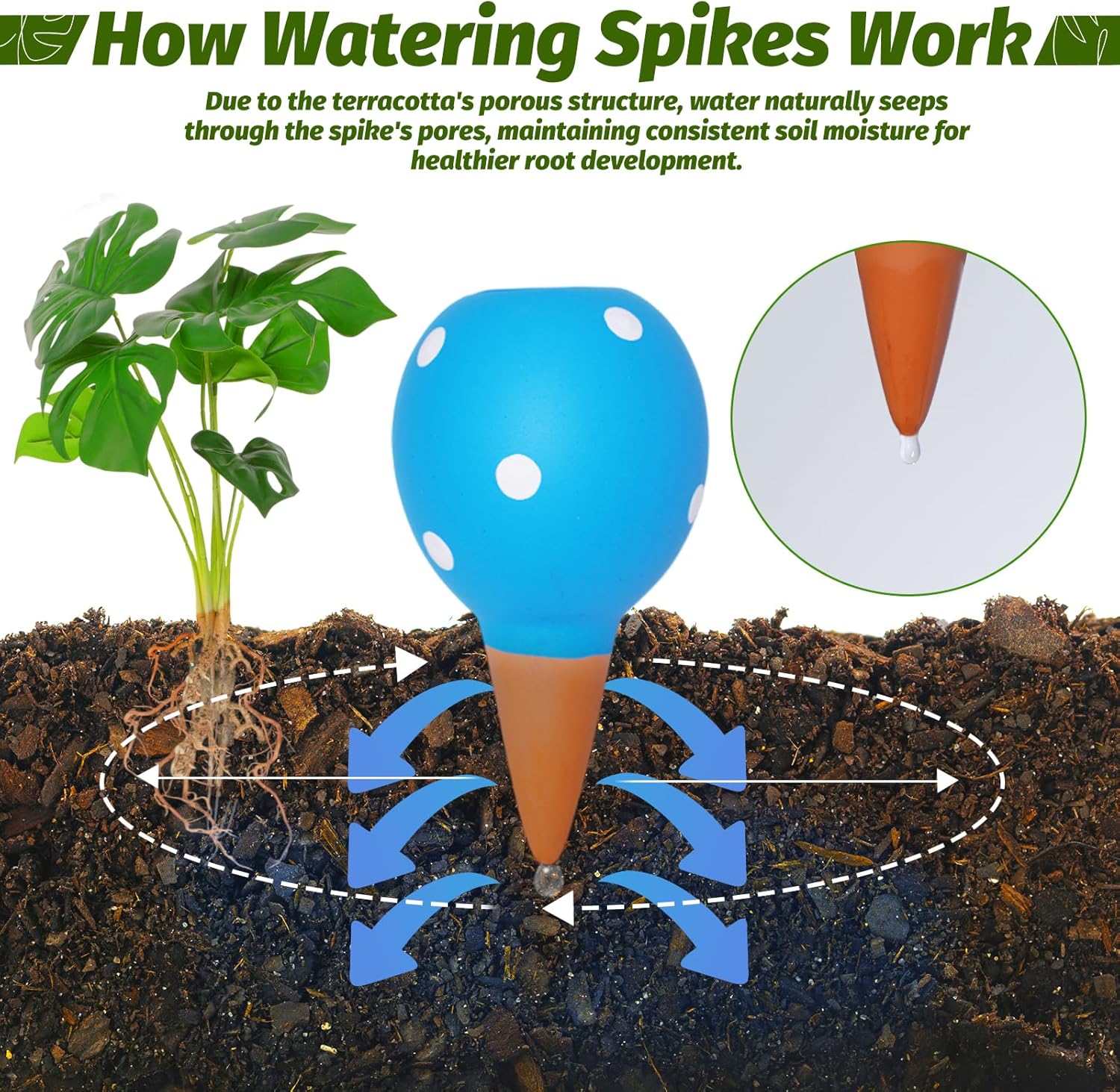 Terracotta Self Watering Spike - Self Watering Insert のレビューと価格