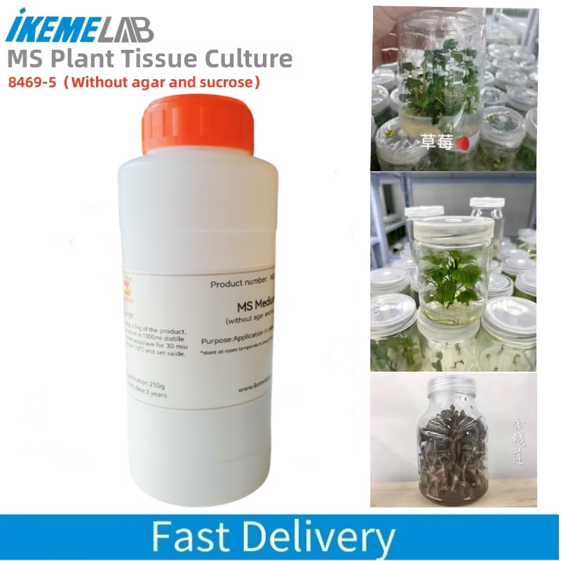 IKEME 250g Lab MS Medium Witho - Agar Tissue Culture のレビューと価格
