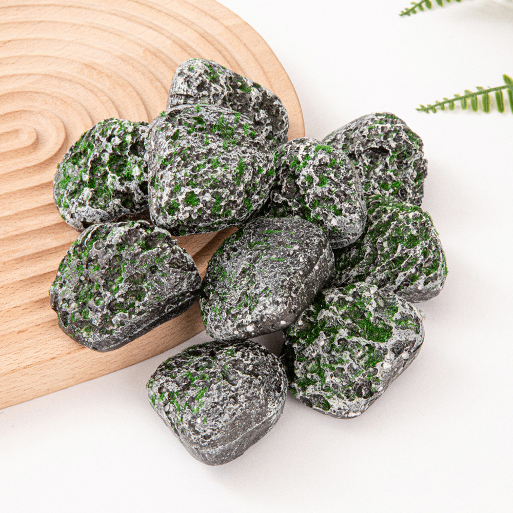 10PCS Mossy Gray Stone Multi-s - Sphagnum Moss Dry のレビューと価格