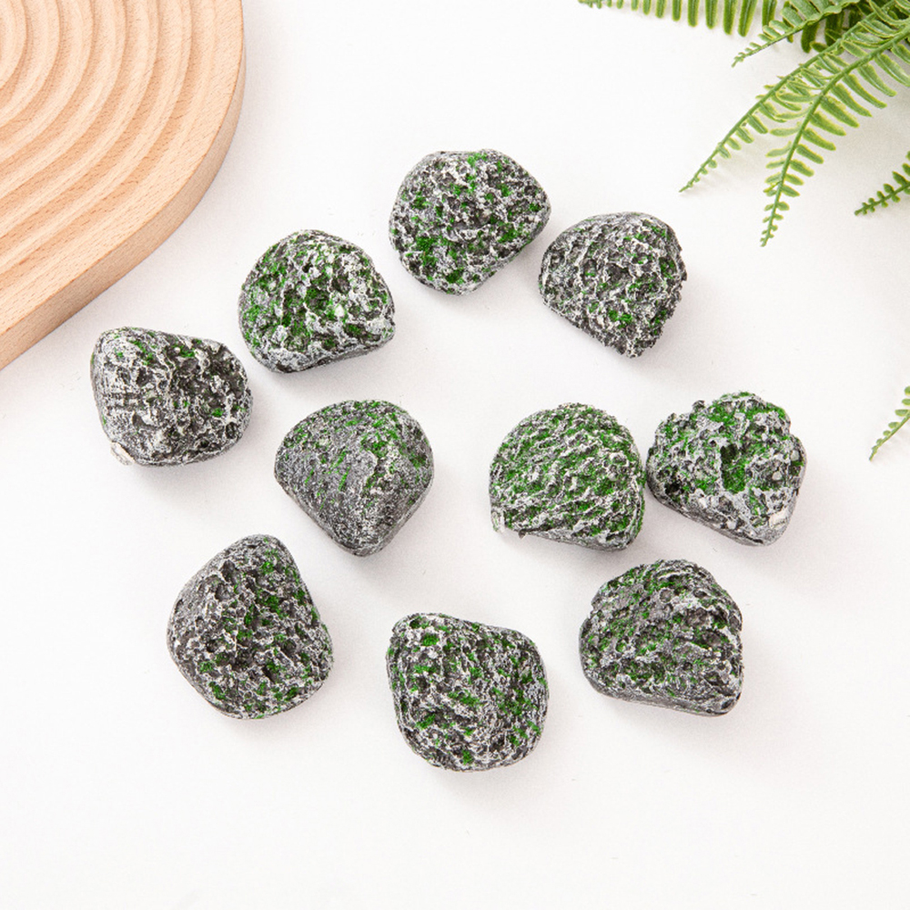 10PCS Mossy Gray Stone Multi-s - Sphagnum Moss Dry のレビューと価格