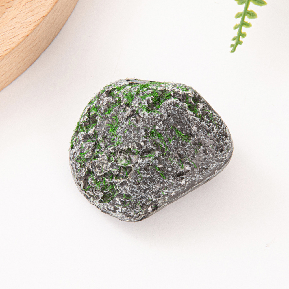 10PCS Mossy Gray Stone Multi-s - Sphagnum Moss Dry のレビューと価格
