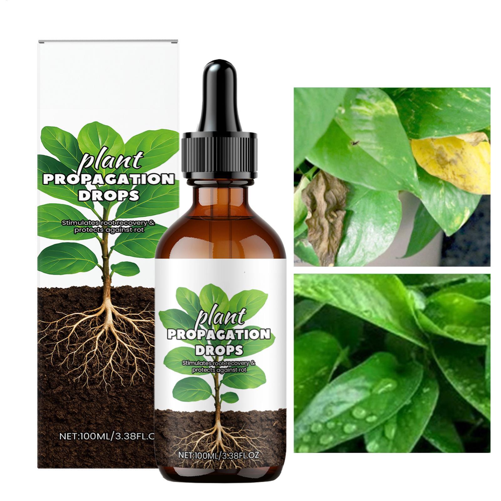 Root Booster 100ml Liquid Root - Root Stimulator Liquid のレビューと価格