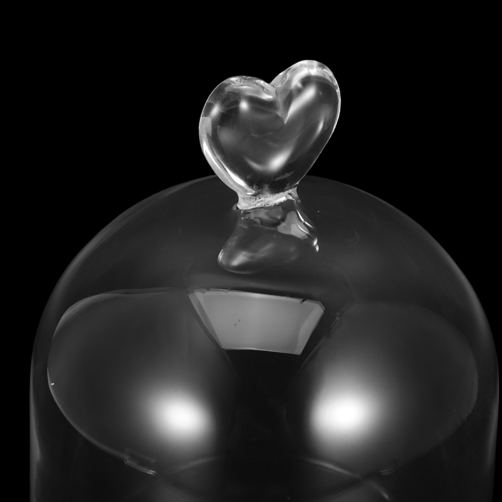Glass Cloche 6.3x4 Transparent - Plastic Dome Clear のレビューと価格