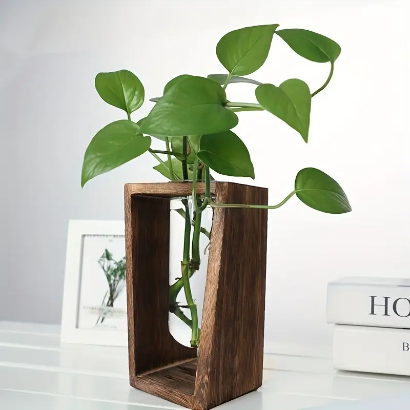 Modern Wood Propagation Vase - - Propagation Station Vase のレビューと価格