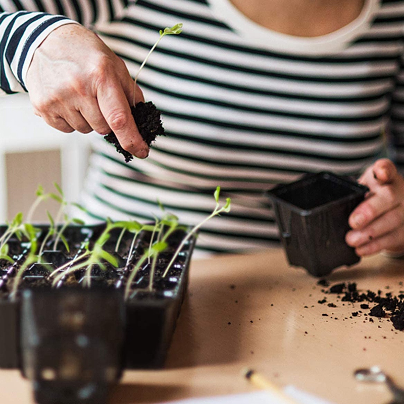 B84B-10 Pack Seed Starter Tray - Propagation Tray 72 のレビューと価格