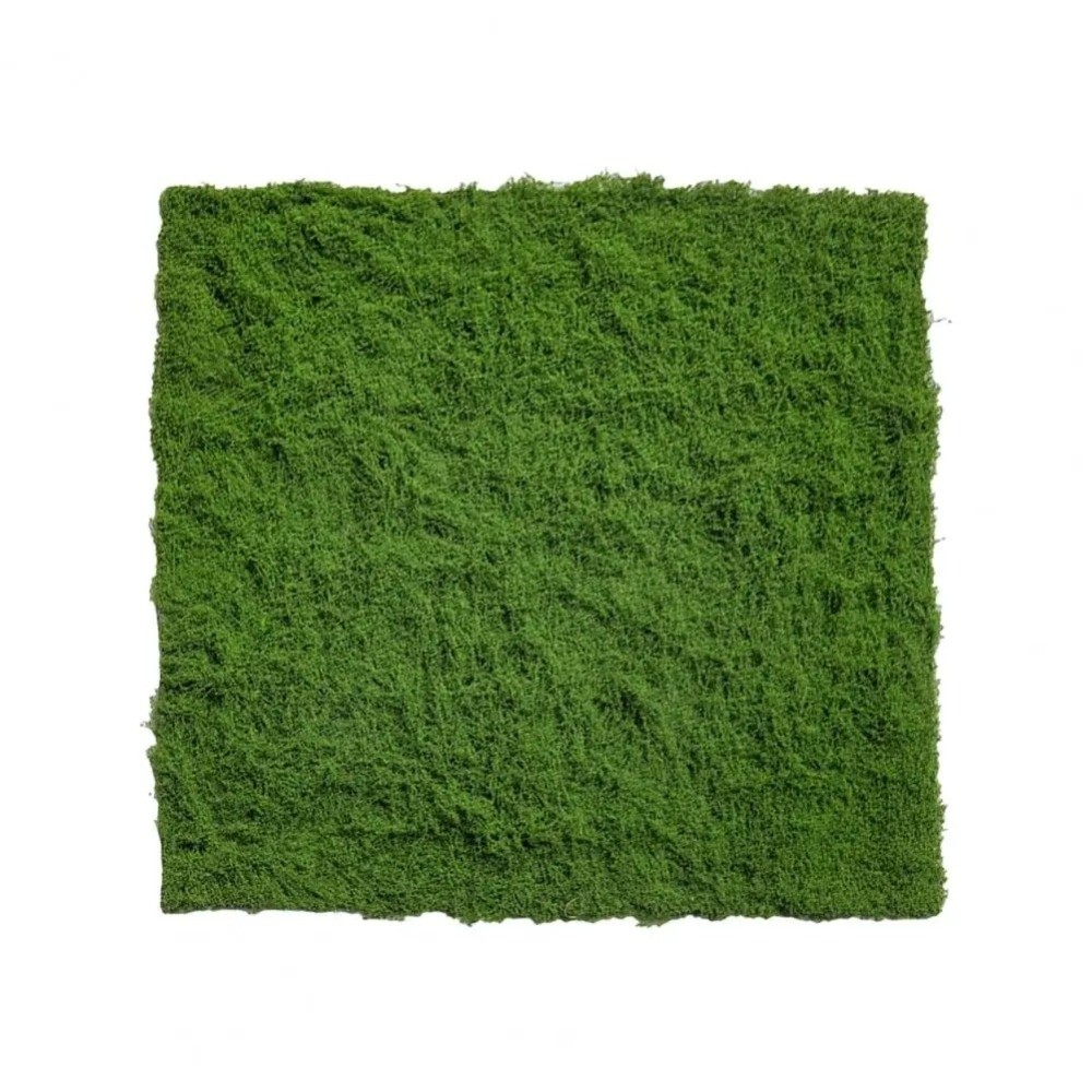 DIY Artificial Grass Rug Durab - Sphagnum Moss Dry のレビューと価格