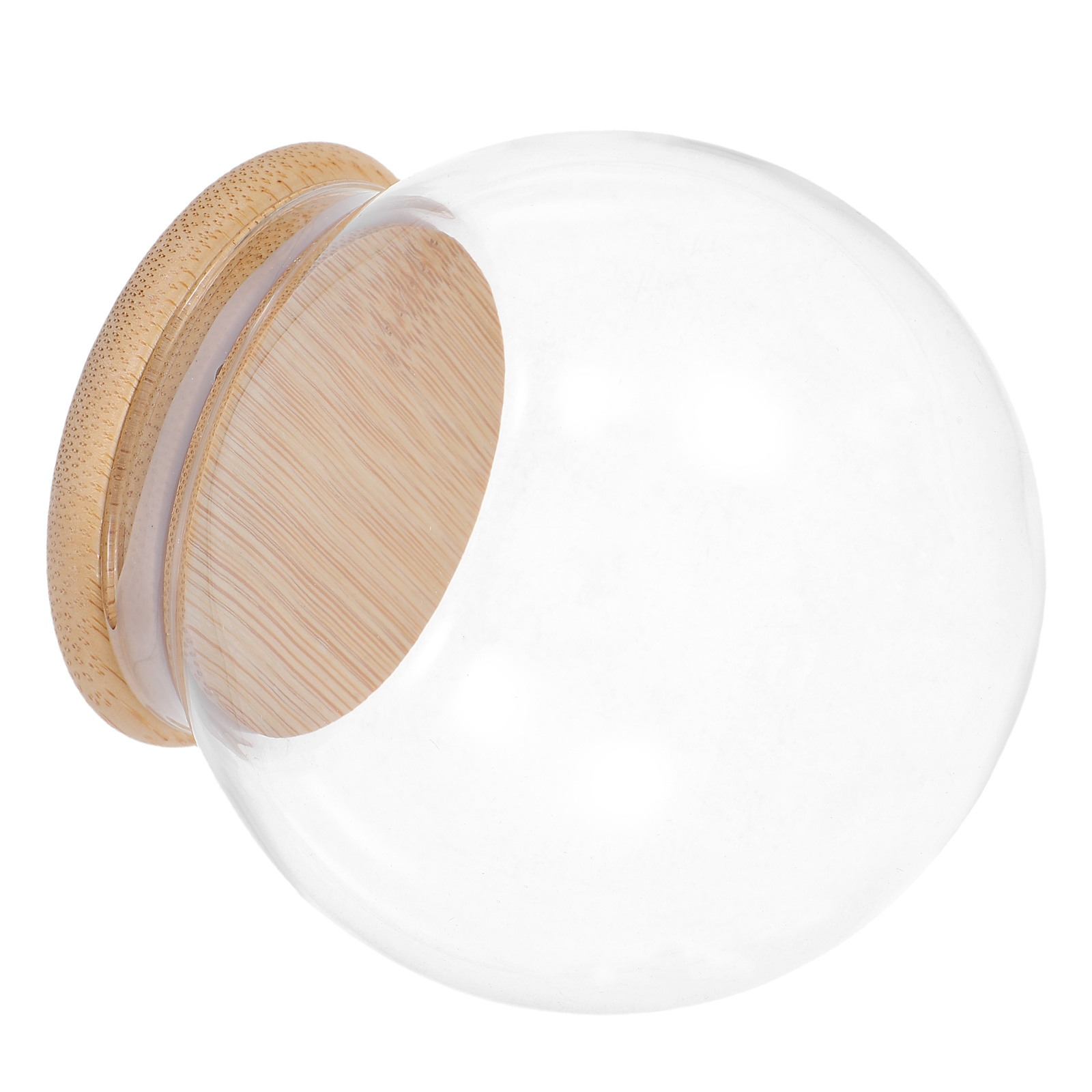 Glass Dome Eternal Flower Disp - Plastic Dome Clear のレビューと価格