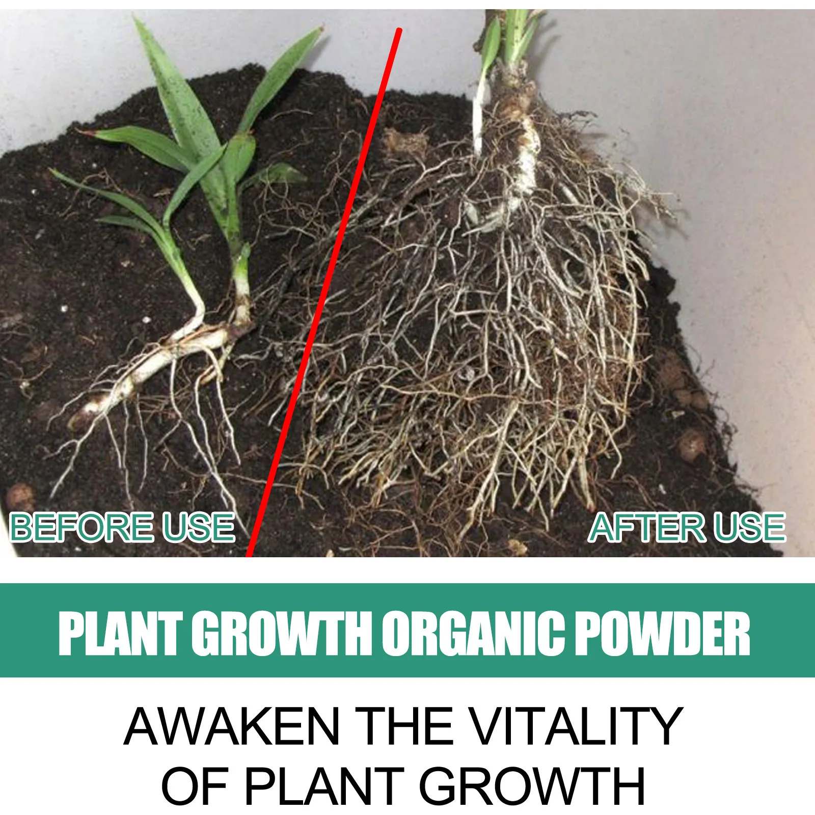 Fast Rooting Powder Plant Soil - Rooting Hormone Powder のレビューと価格