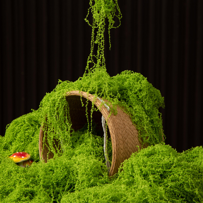 200g Eternal Life Moss DIY Cra - Sphagnum Moss Dry のレビューと価格
