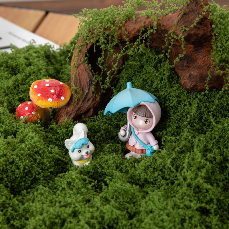 200g Eternal Life Moss DIY Cra - Sphagnum Moss Dry のレビューと価格