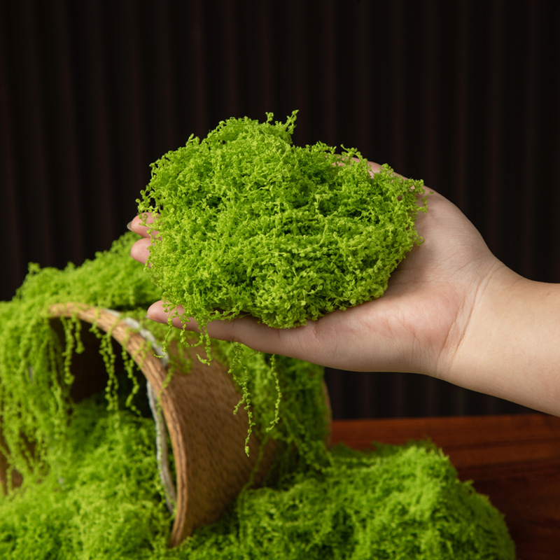 200g Eternal Life Moss DIY Cra - Sphagnum Moss Dry のレビューと価格