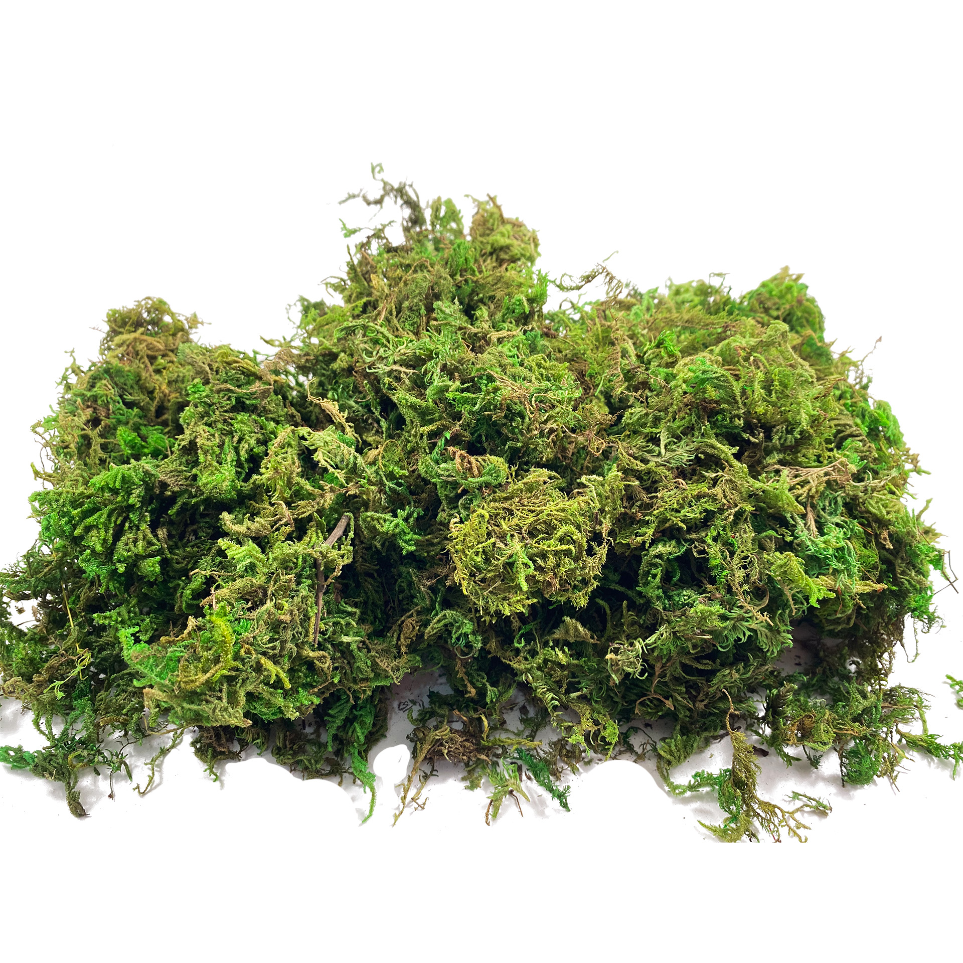 Artificial Fake Moss, Craft Mo - Sphagnum Moss Dry のレビューと価格