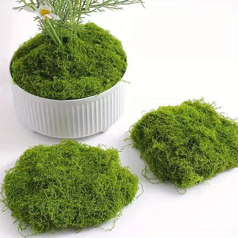 1 \ 5 \ 8 pcs artificial simul - Sphagnum Moss Dry のレビューと価格