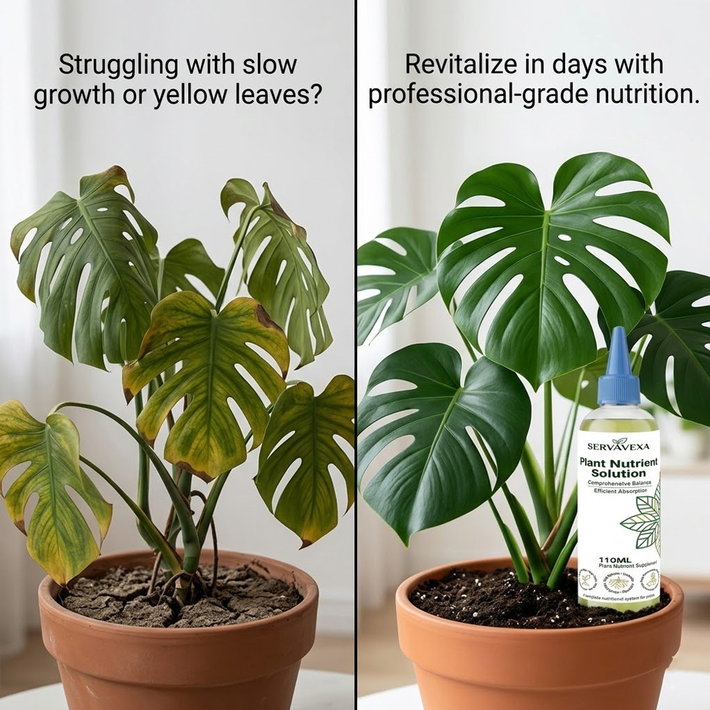Plant  Nutrient Solution Rapid - Root Stimulator Liquid のレビューと価格