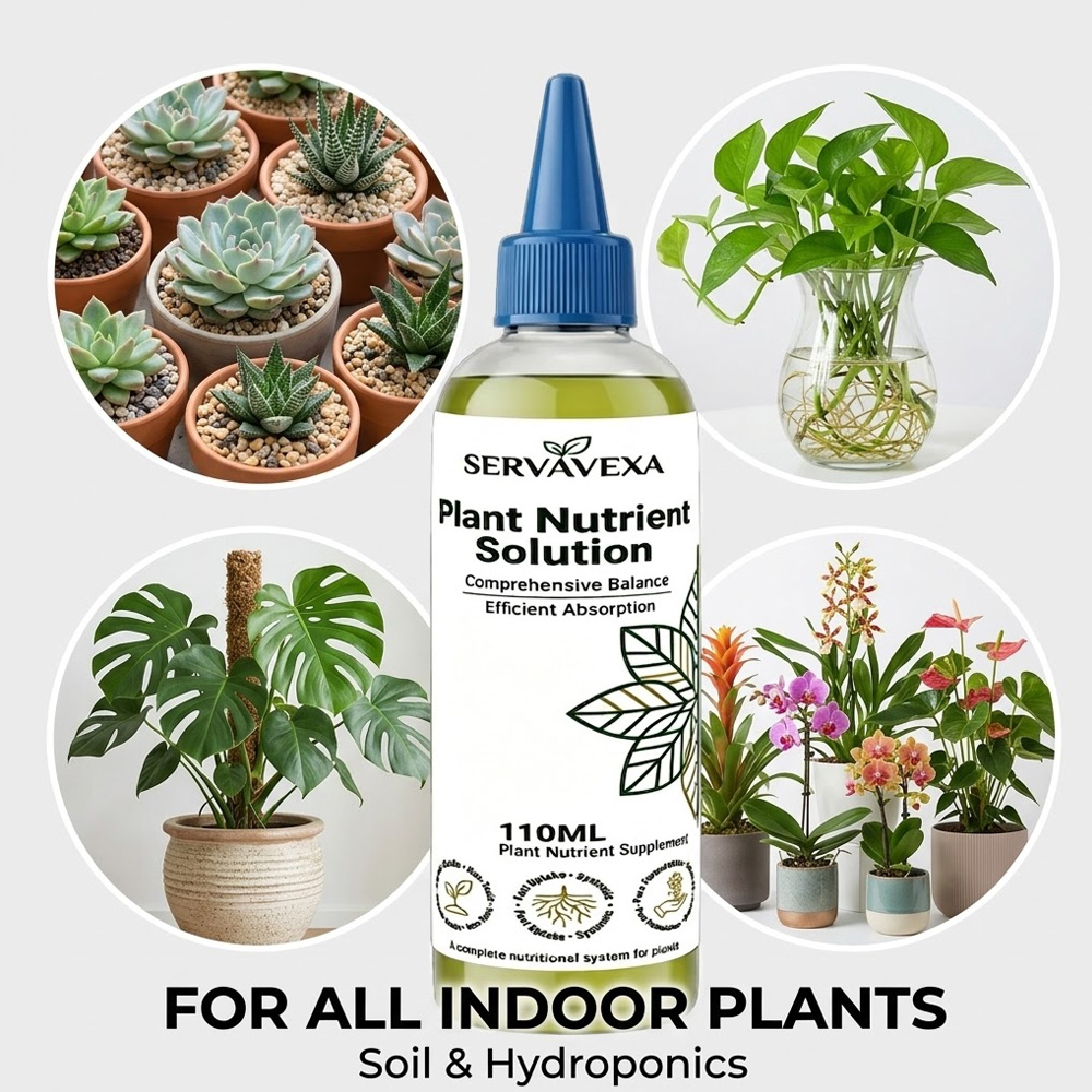 Plant  Nutrient Solution Rapid - Root Stimulator Liquid のレビューと価格