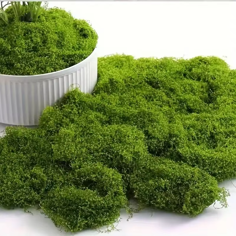Lifelike Evergreen Artificial  - Sphagnum Moss Dry のレビューと価格