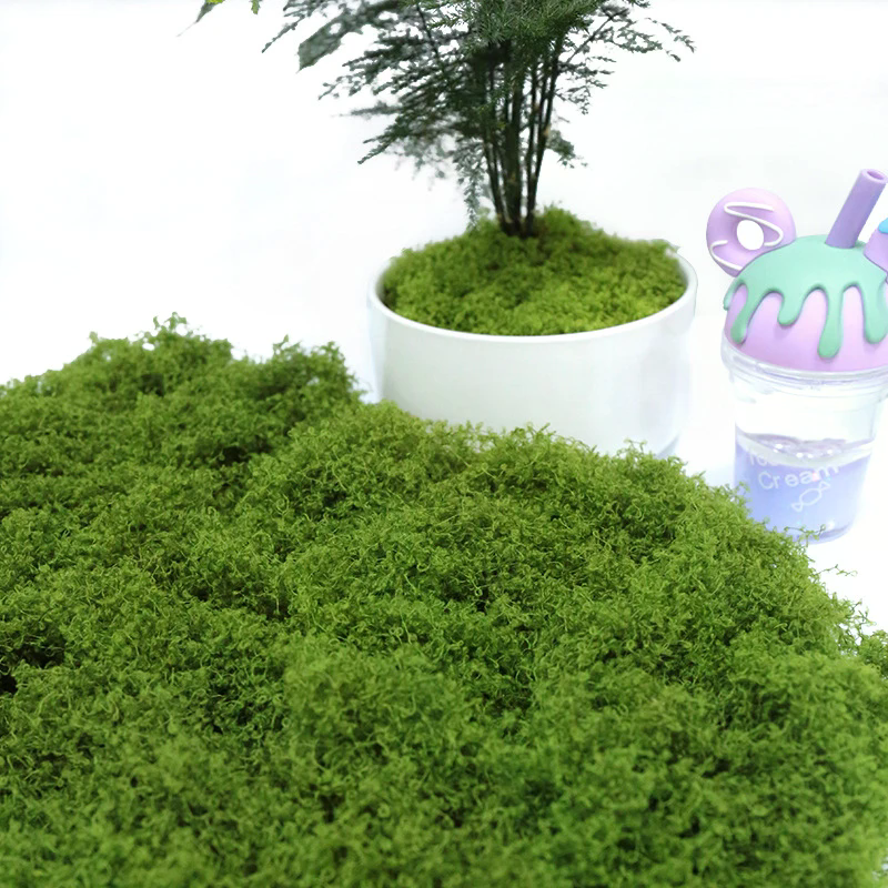 50g Fake Moss DIY Crafts Grass - Sphagnum Moss Dry のレビューと価格