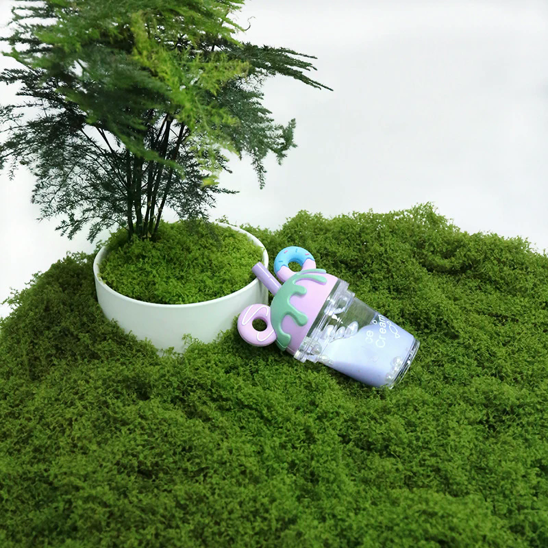 50g Fake Moss DIY Crafts Grass - Sphagnum Moss Dry のレビューと価格