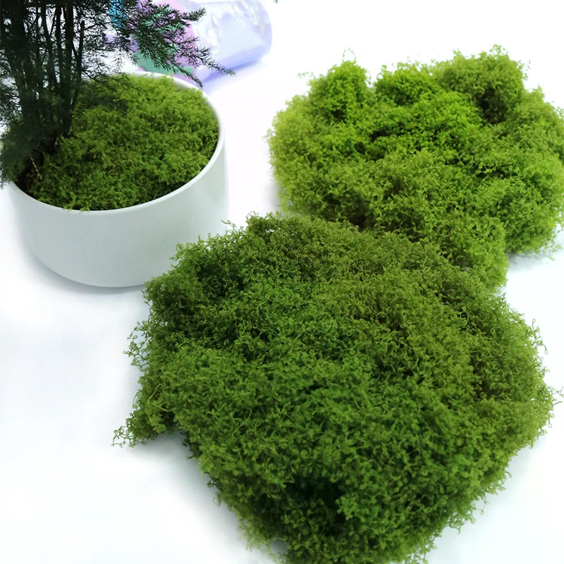 50g Fake Moss DIY Crafts Grass - Sphagnum Moss Dry のレビューと価格
