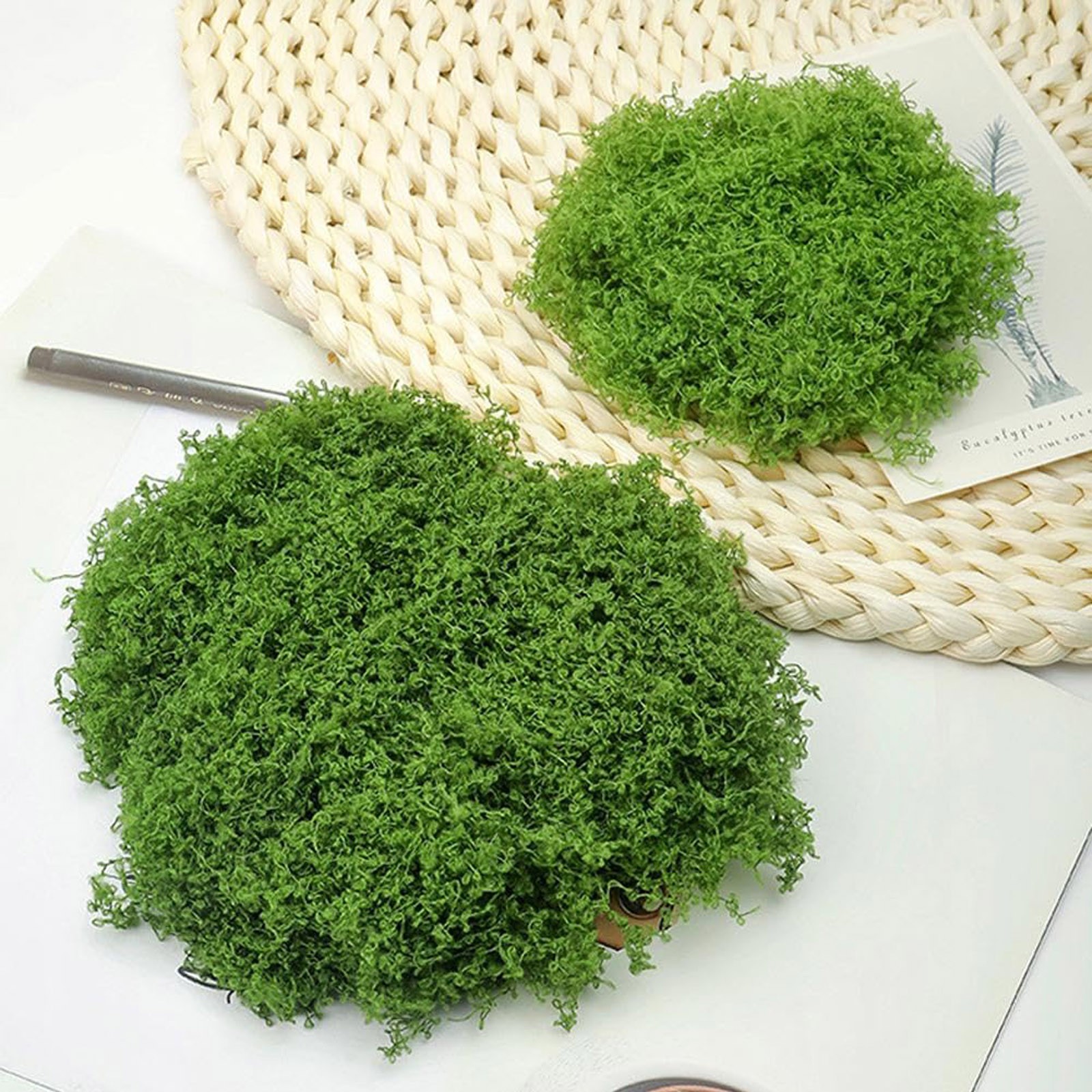 50/200g Artificial Moss For De - Sphagnum Moss Dry のレビューと価格