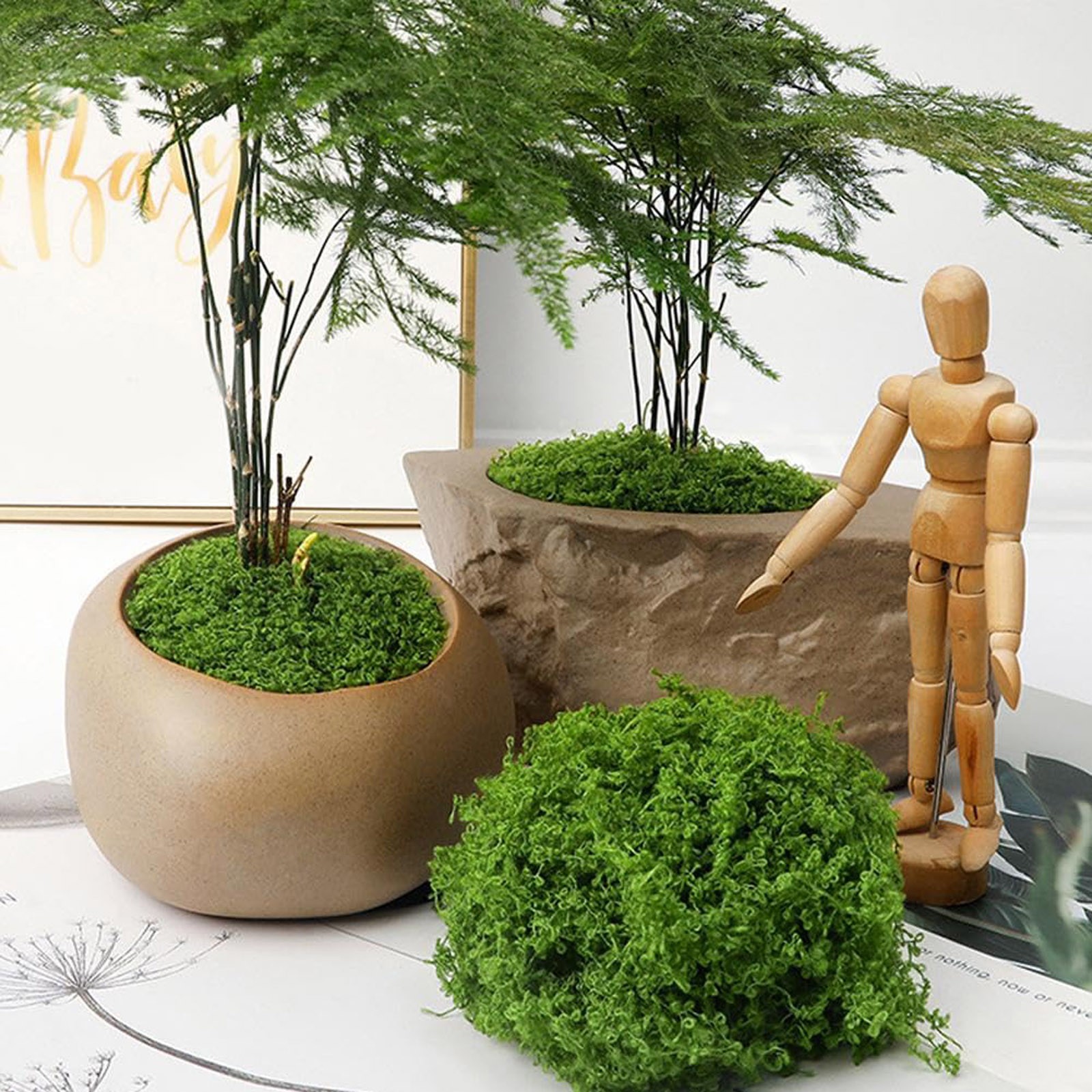 50/200g Artificial Moss For De - Sphagnum Moss Dry のレビューと価格