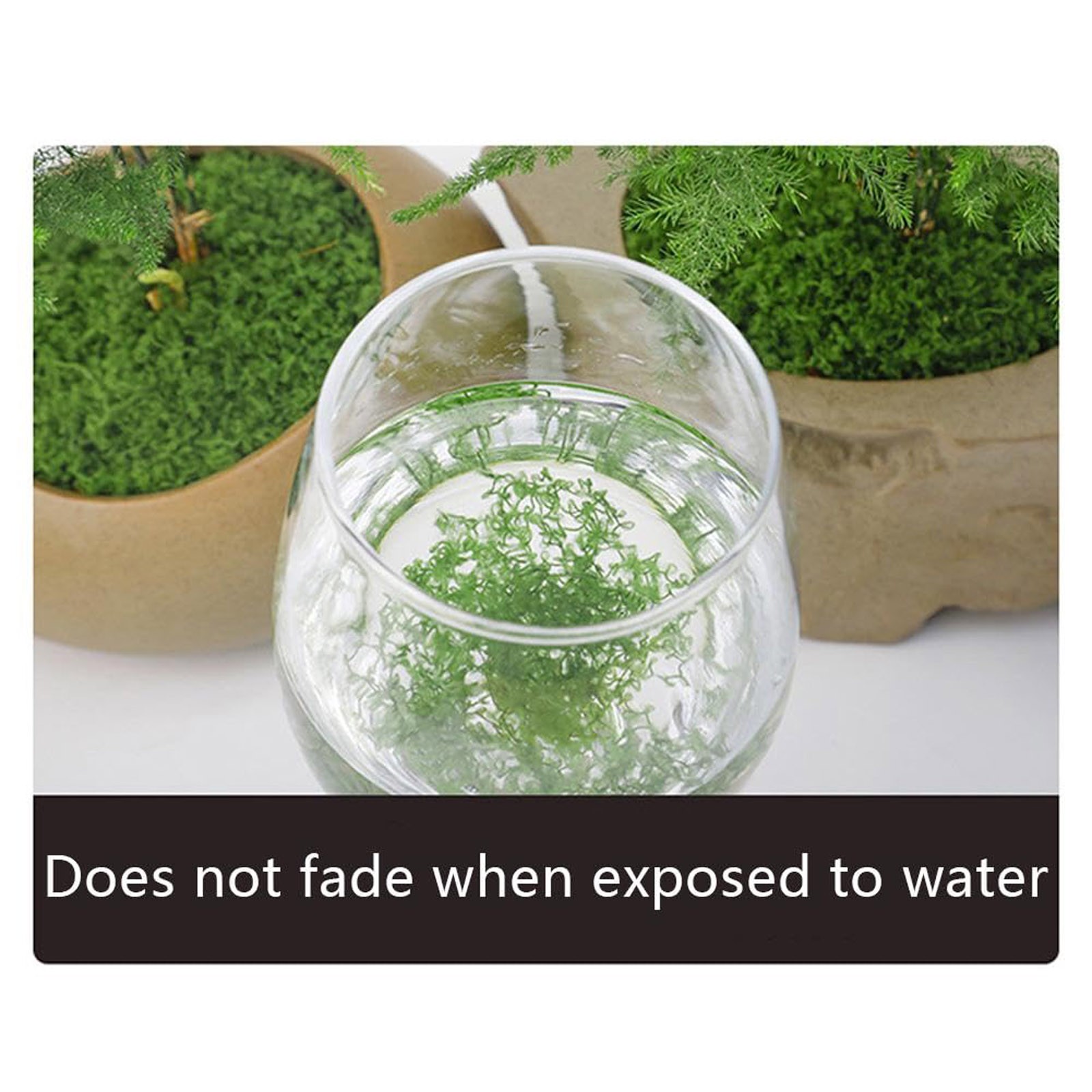 50/200g Artificial Moss For De - Sphagnum Moss Dry のレビューと価格