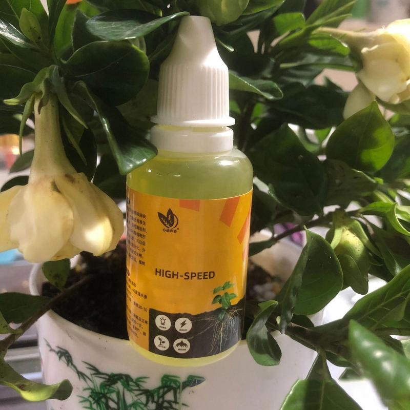 50ml Plant Root Stimulator Liq - Root Stimulator Liquid のレビューと価格