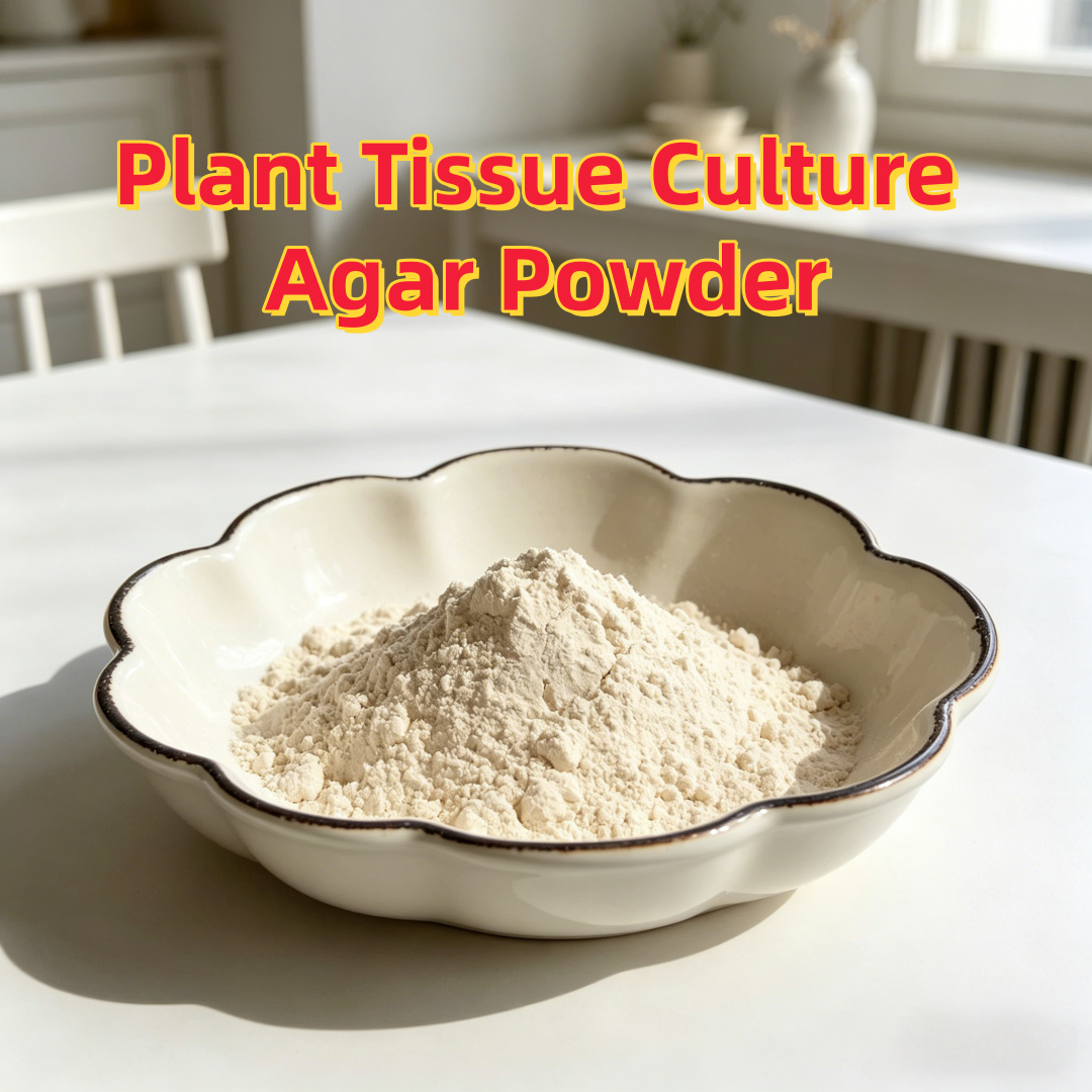 High Gel Strength Plant Tissue - Agar Tissue Culture のレビューと価格